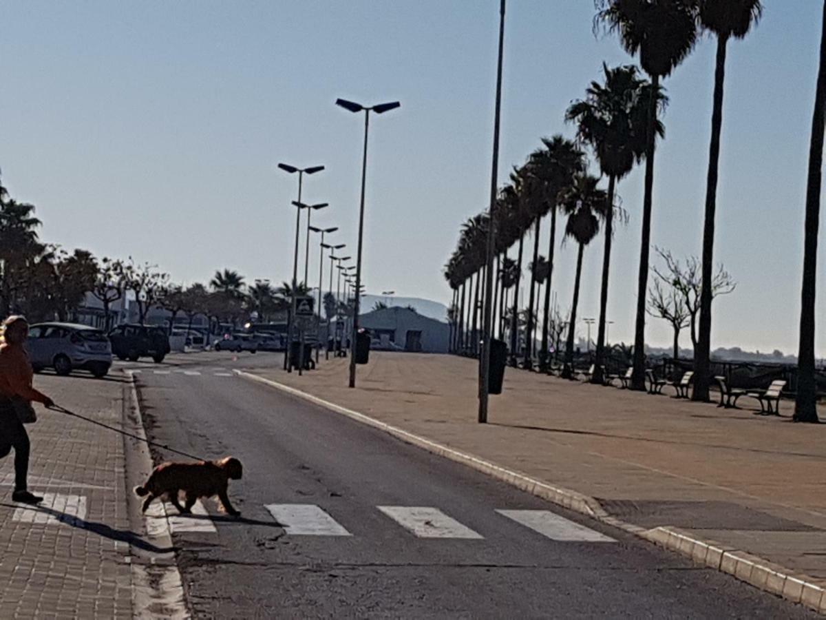 Apartamento Santa Barbara Conil De La Frontera Dış mekan fotoğraf